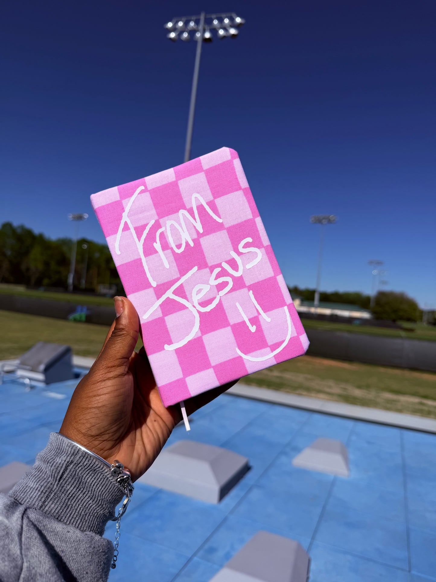 Custom Pink Bible