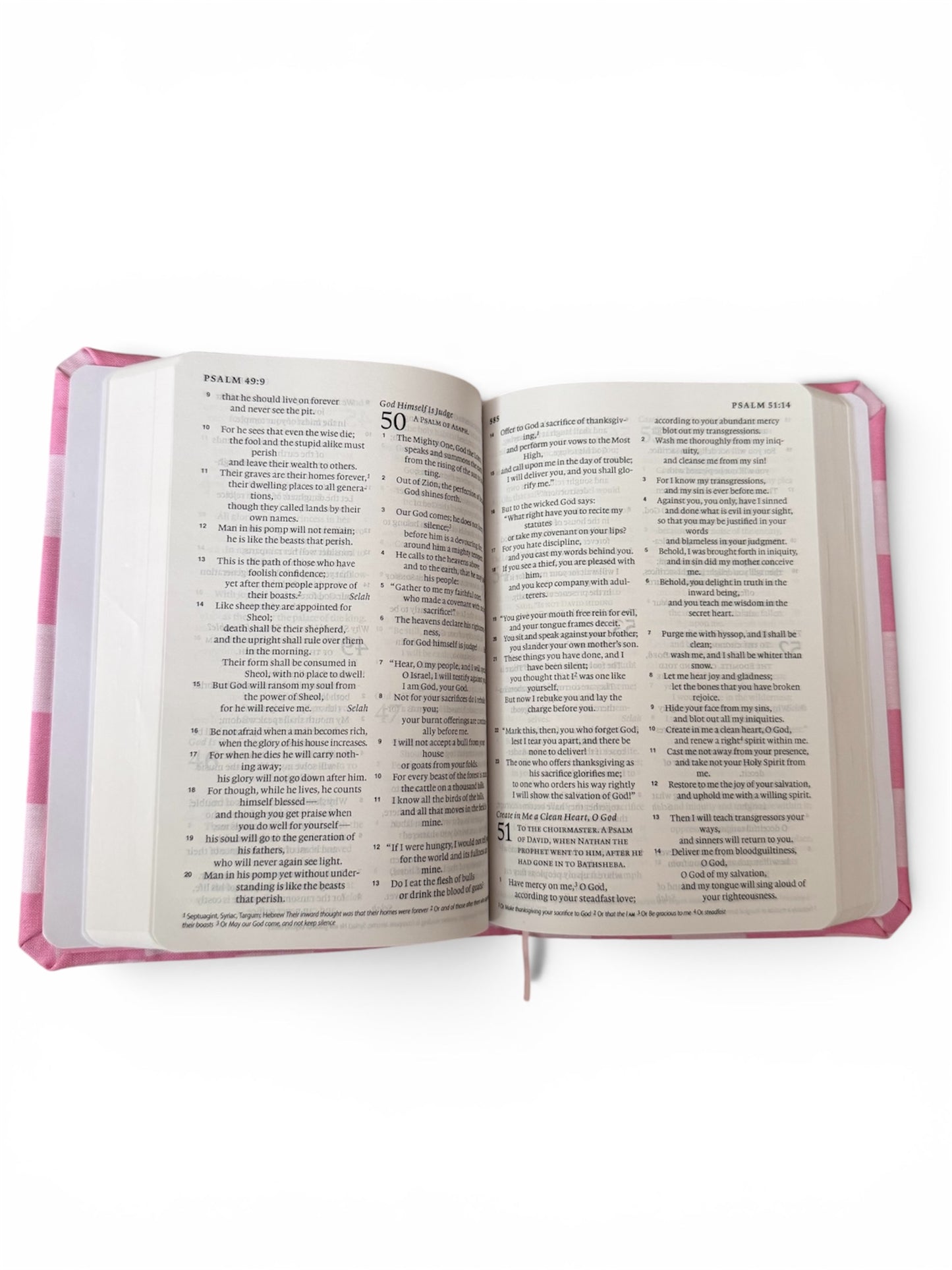 Custom Pink Bible
